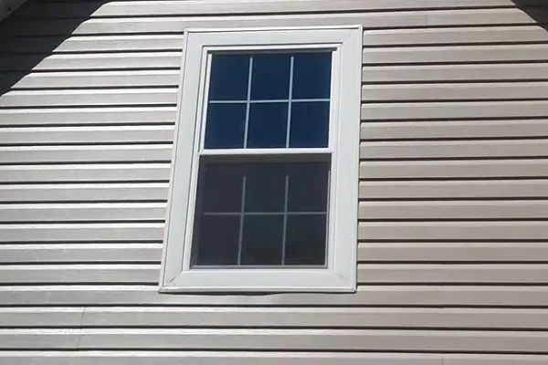 A House Cat Sitting In Front Of A Window