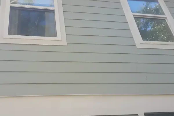 A Dog Hanging Out Of A Window