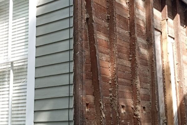 A Close Up Of A Brick Building